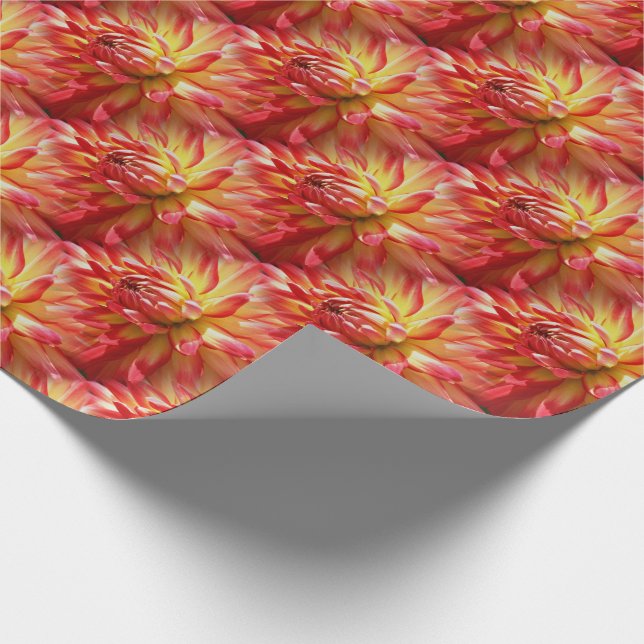 Red Dahlia Flower Pattern Nature   Wrapping Paper (Corner)