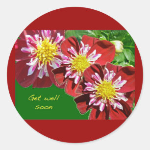 Red Dahlia Get Well Soon Sticker