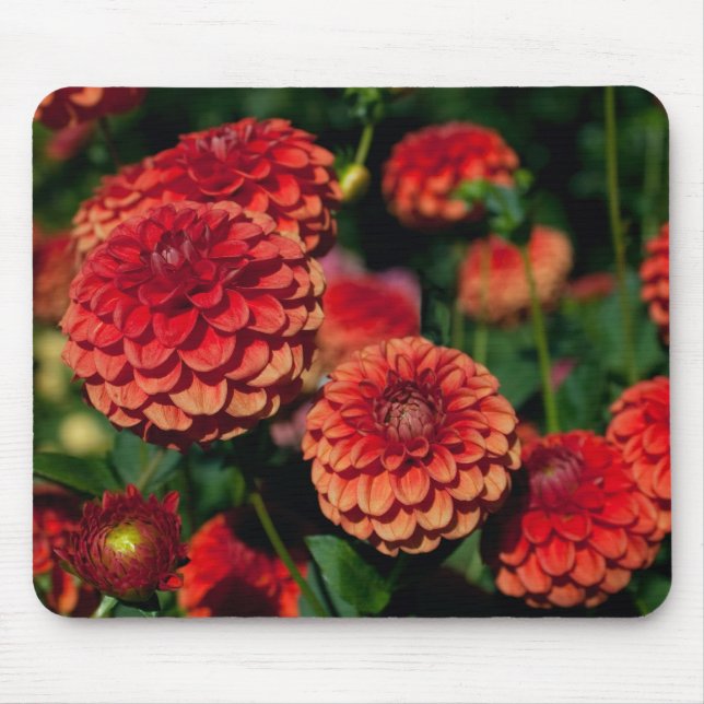 Red Dahlia Mouse Pad (Front)