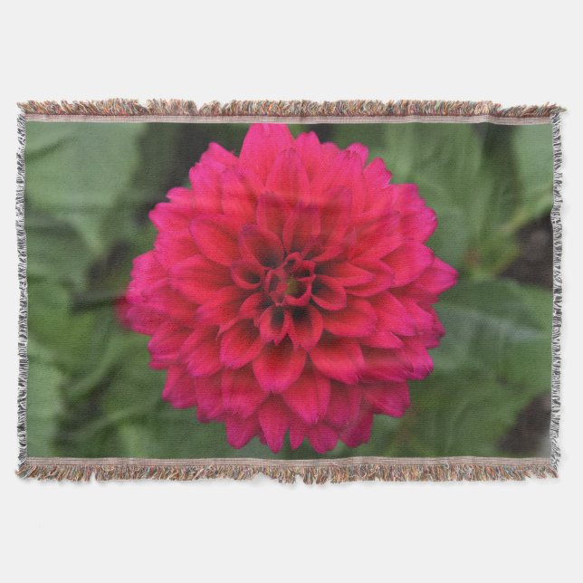 Red Dahlia Throw Blanket (Front)