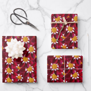 Red Dahlia  Wrapping Paper Sheet