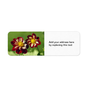 Red Dahlias Address Label