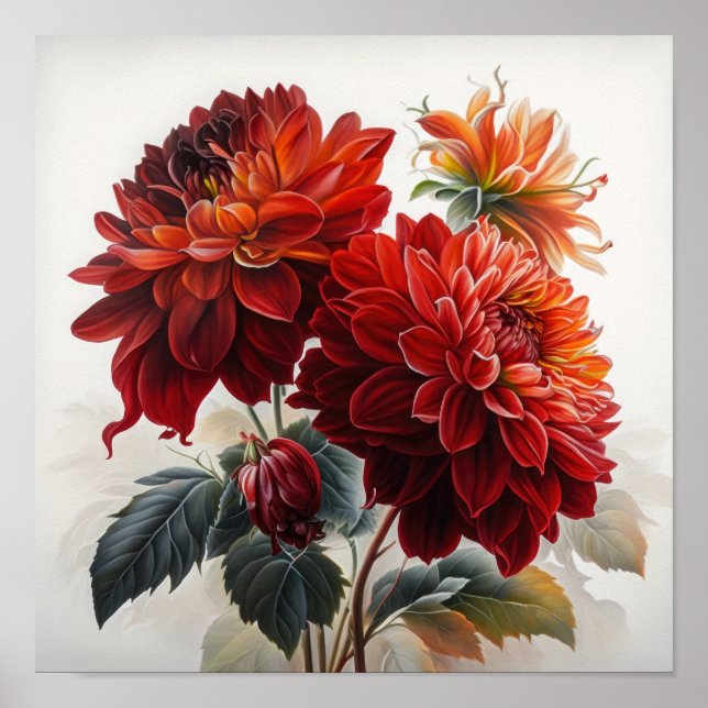 Red Dahlias Flower Art Print Poster (Front)