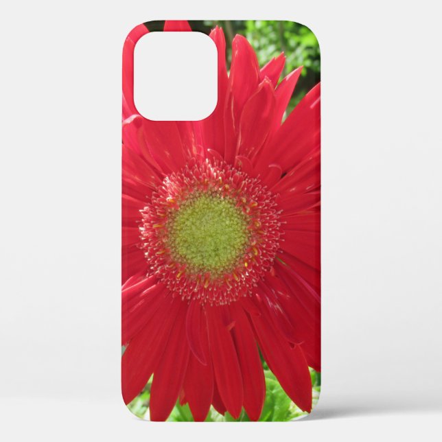 Red Daisy Floral Photography  Case-Mate iPhone Case (Back)