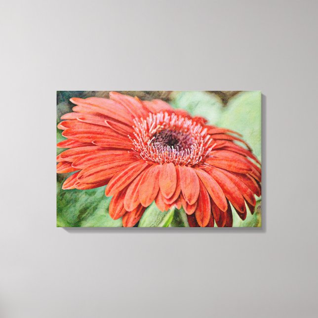 Red Daisy Flower Floral Art Canvas Print (Front)