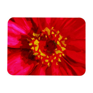 Red Daisy Flower With Yellow Pollen Abstract Magnet