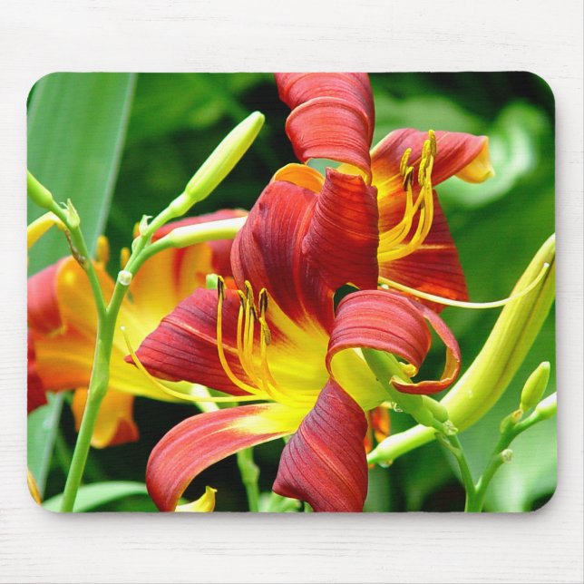 Red Daylilies Mousepad (Front)