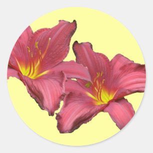 Red Daylily Coordinating Items Classic Round Sticker