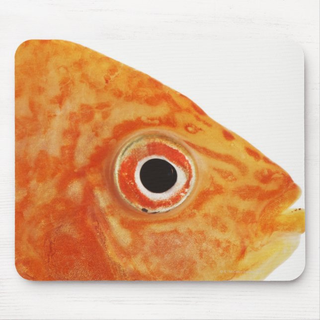 Red Deacon fish Mouse Pad (Front)