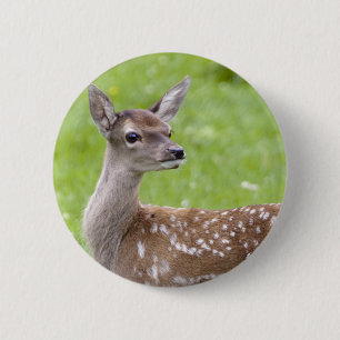 Red Deer Fawn Badge 2 Inch Round Button