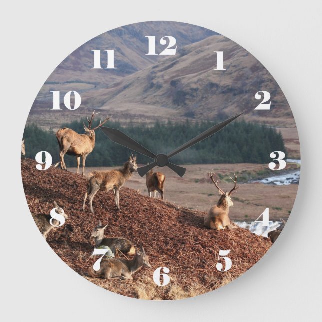 Red deer in Glen Etive, Highlands of Scotland Large Clock (Front)