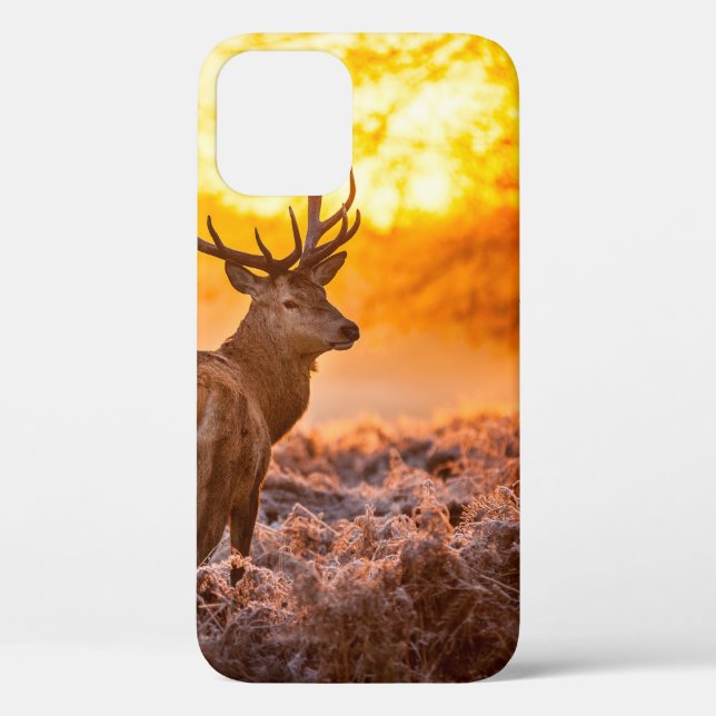 Red Deer in Morning Sun. deer,animal,wildlife,natu Case-Mate iPhone Case (Back)