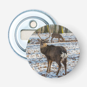 Red Deer in Snow Bottle Opener