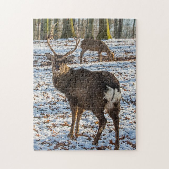 Red Deer in Snow Jigsaw Puzzle (Vertical)