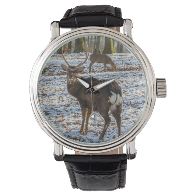 Red Deer in Snow Watch (Front)