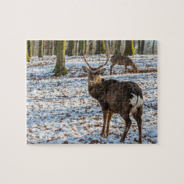 Red Deer in the Snow Jigsaw Puzzle (Horizontal)