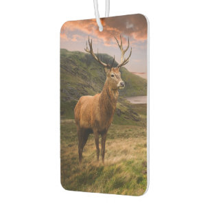 Red deer stag in dramatic mountain landscape air freshener