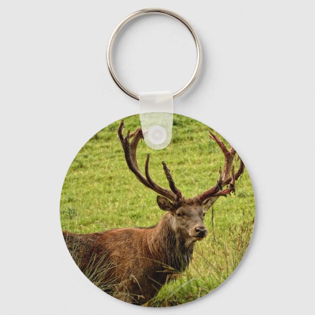 Red Deer Stag Keychain (Front)