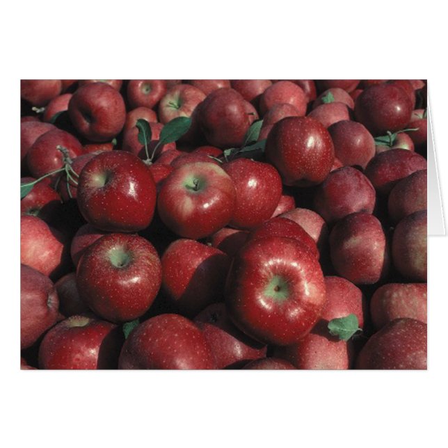 Red Delicious Apple Photo Blank Greeting (Front Horizontal)