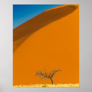 Red Desert of Namibia Poster