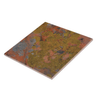 red desert stone lovers tile
