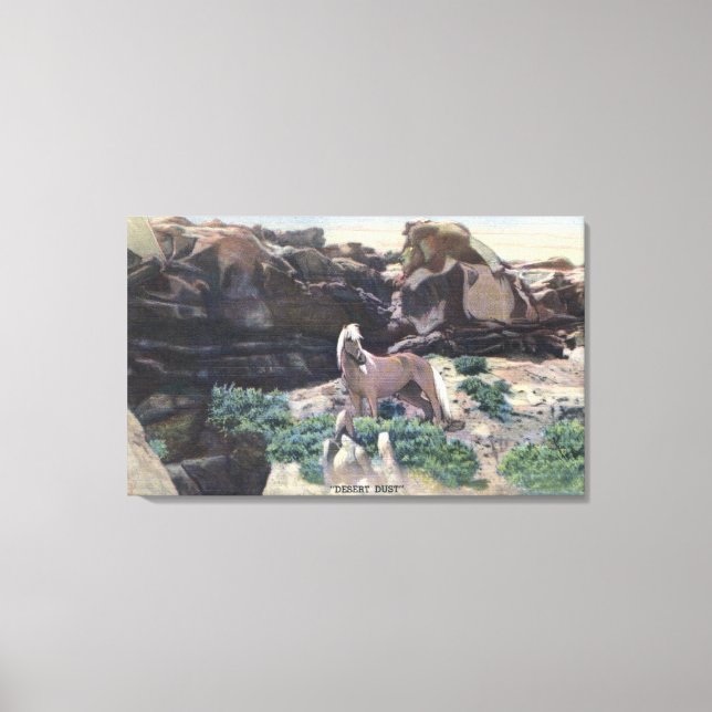 Red Desert, WY - Wild Palomino Stallion captured Canvas Print (Front)