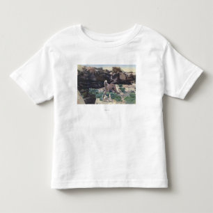 Red Desert, WY - Wild Palomino Stallion captured Toddler T-shirt