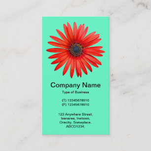 Red Devil - Turquoise Business Card