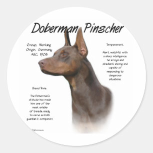 Red Doberman History  Classic Round Sticker