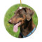 Red doberman