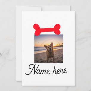 Red dog bone photo pet dog cat name simple gifts  invitation