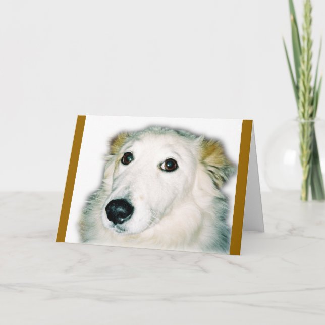 red dog card (Front)