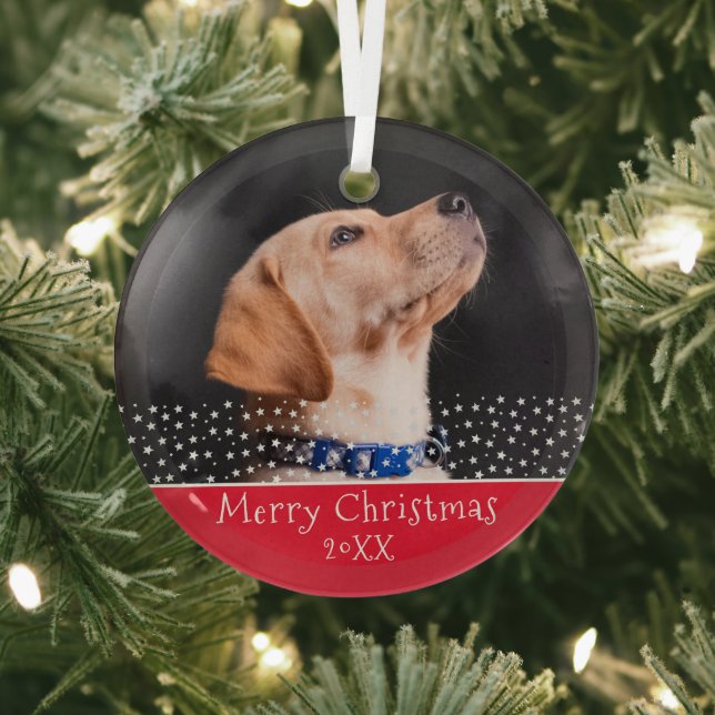 Red Dog Pet Photo Christmas Holiday Keepsake Glass Ornament (Insitu)