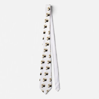 Red Dog Ranch - Mushroom Tie