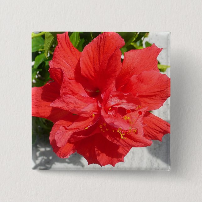 Red Double Hibiscus Flower 2 Inch Square Button (Front)