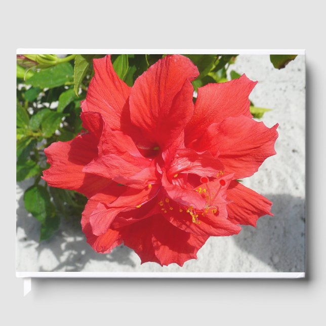 Red Double Hibiscus Flower Guest Book (Front)