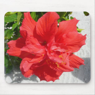 Red Double Hibiscus Flower Mouse Pad