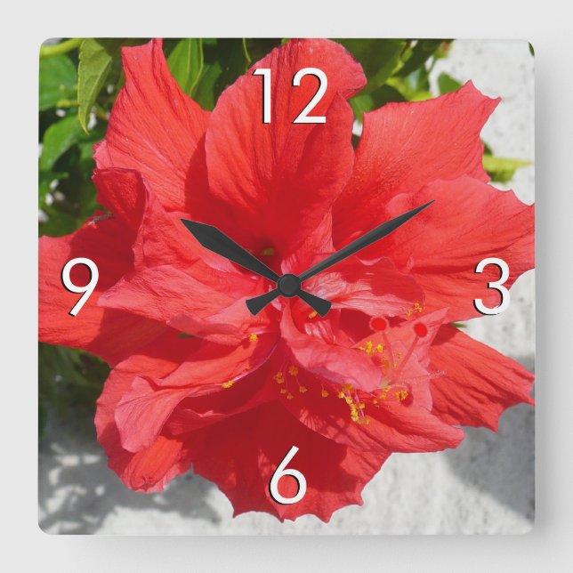 Red Double Hibiscus Flower Square Wall Clock (Front)