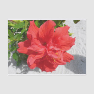 Red Double Hibiscus Flower Tissue Paper