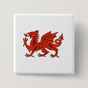 Red Dragon 2 Inch Square Button