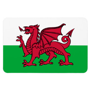 Red Dragon Celtic Flag of Wales & Welsh Magnet