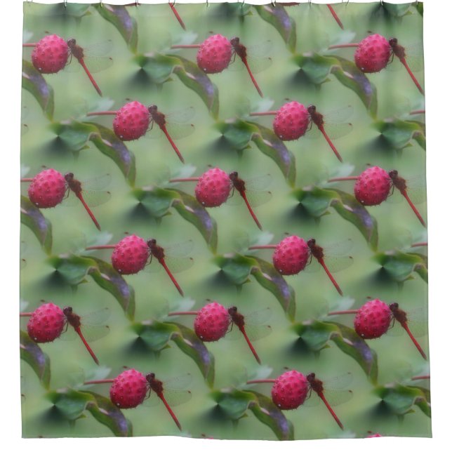 Red Dragonfly Nature Pattern (Front)