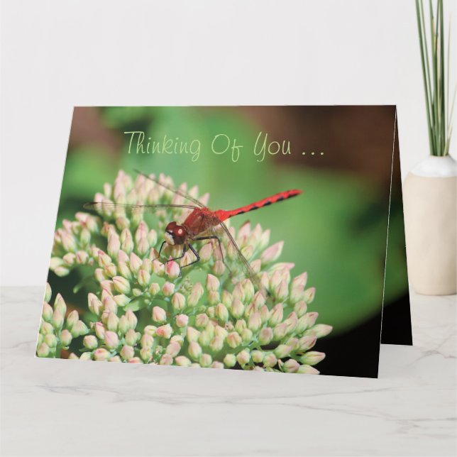 Red Dragonfly Notecard (Front)