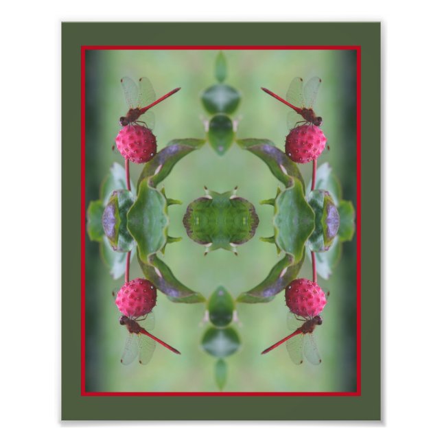Red Dragonfly On Dogwood Fruit Abstract 8x10 Photo Print (Front)