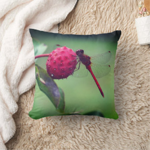 Red Dragonfly On Dogwood Fruit Close Up  Throw Pillow