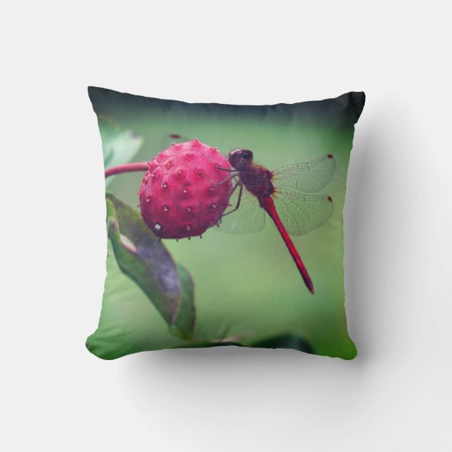 Red Dragonfly On Dogwood Fruit Close Up  Throw Pillow (Front)