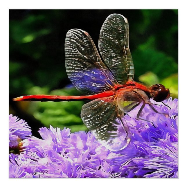 Red Dragonfly on Violet Purple Flowers Poster (Front)