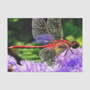 Red Dragonfly on Violet Purple Flowers Tissue Paper