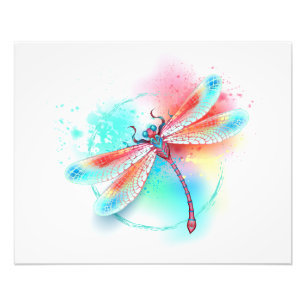 Red dragonfly on watercolor background photo print