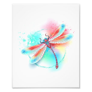 Red dragonfly on watercolor background photo print